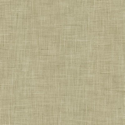 Kasmir PHOTO FINISH     ZINC            